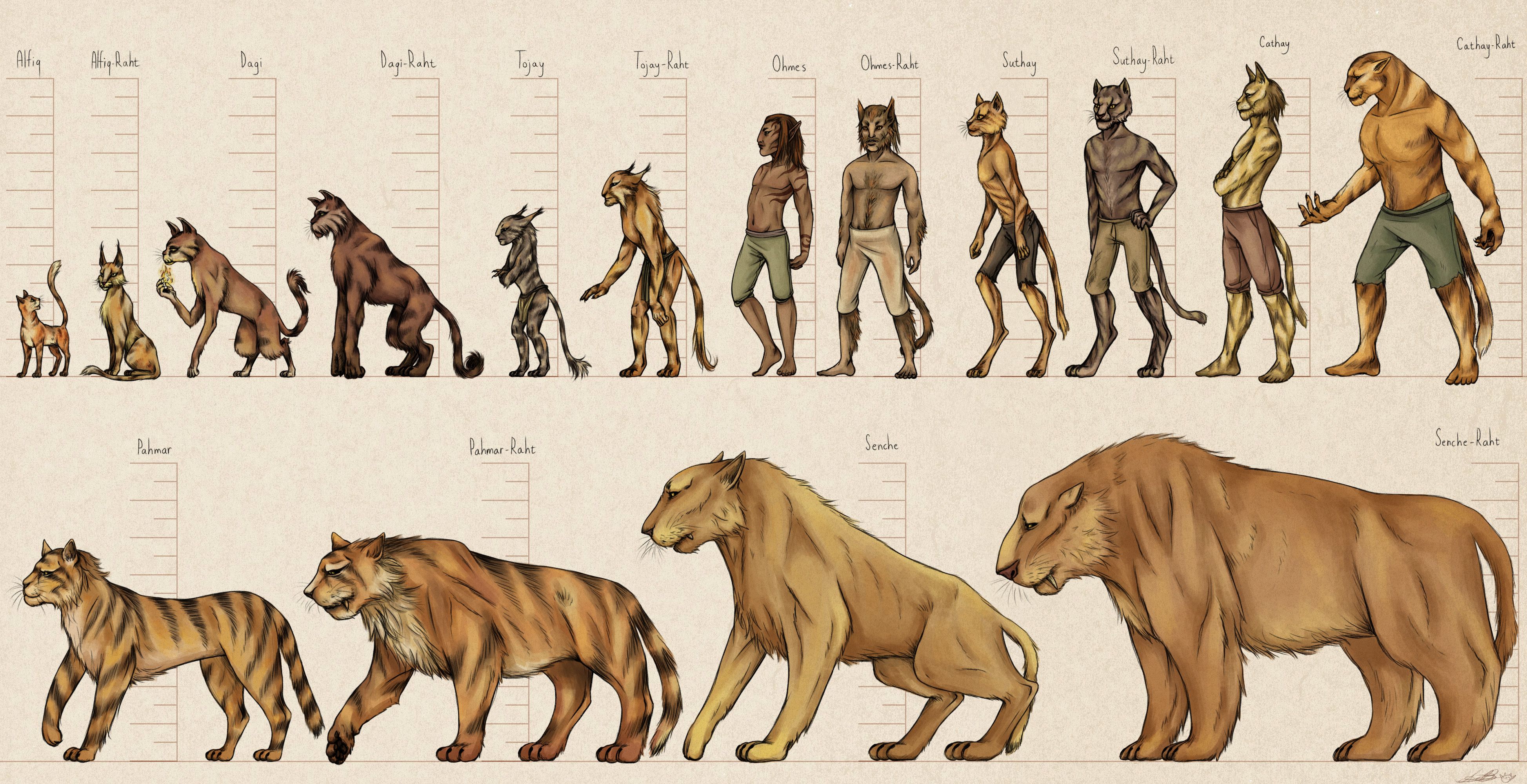The furstocks, the differenct subraces of Khajiit.